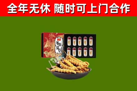 桂林回收冬虫夏草价格